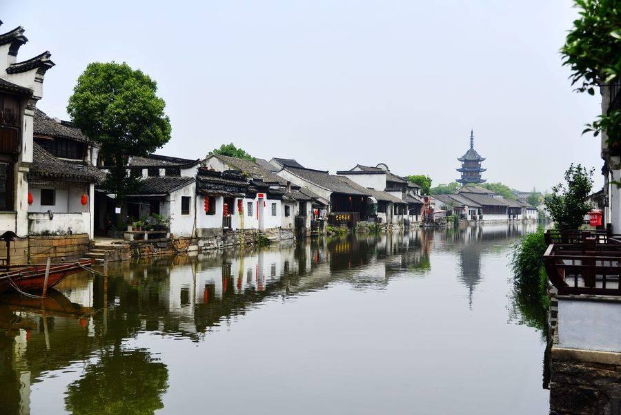 2024年1月份生肖狗学习运势展望